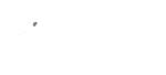 Kangaroo Island Coachlines Logo White