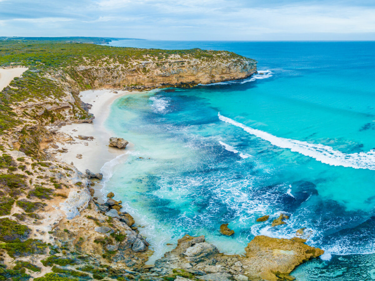 Seal Bay Beach Experience - Kangaroo Island Coachlines