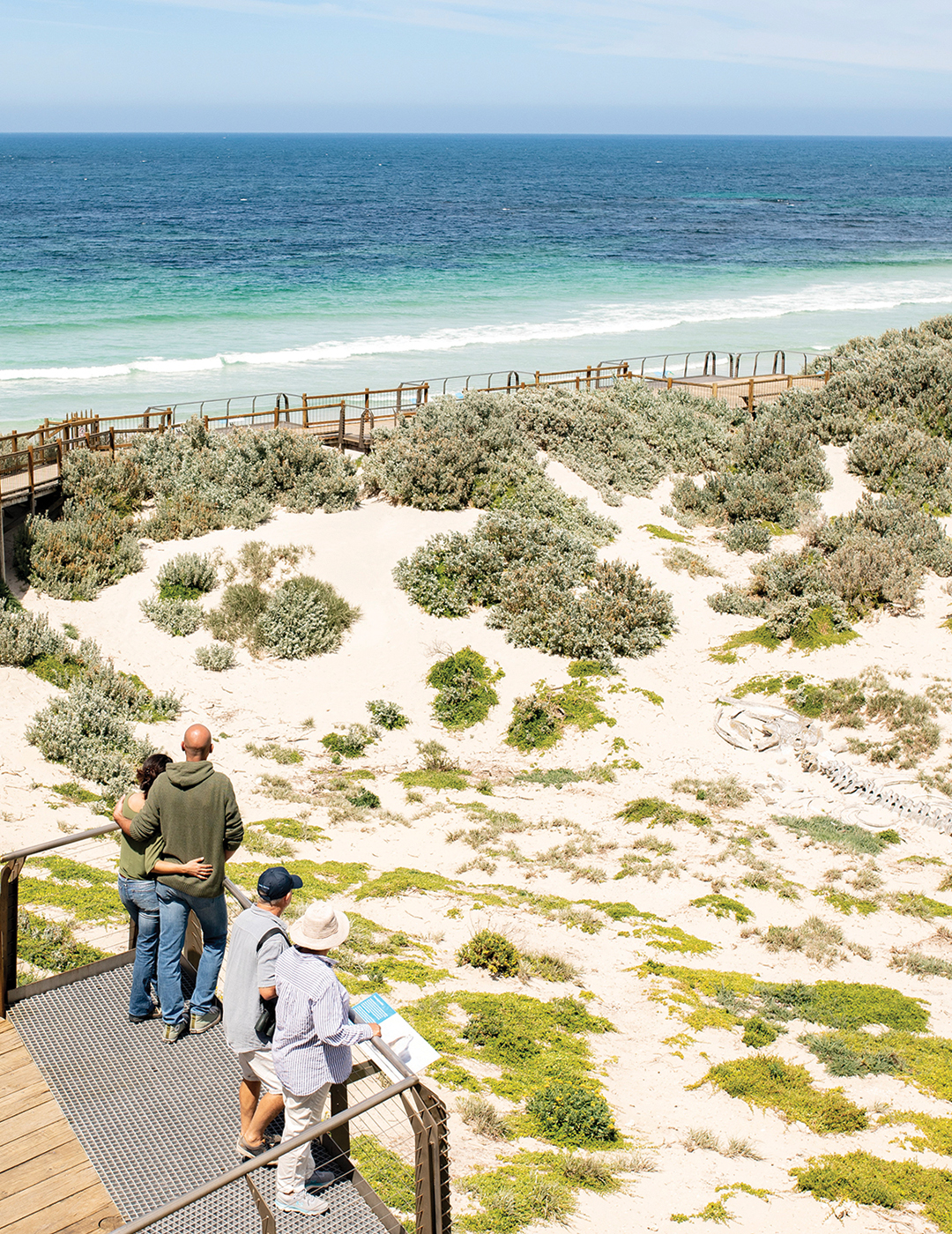 Seal Bay Credit Tourism Australia 673822