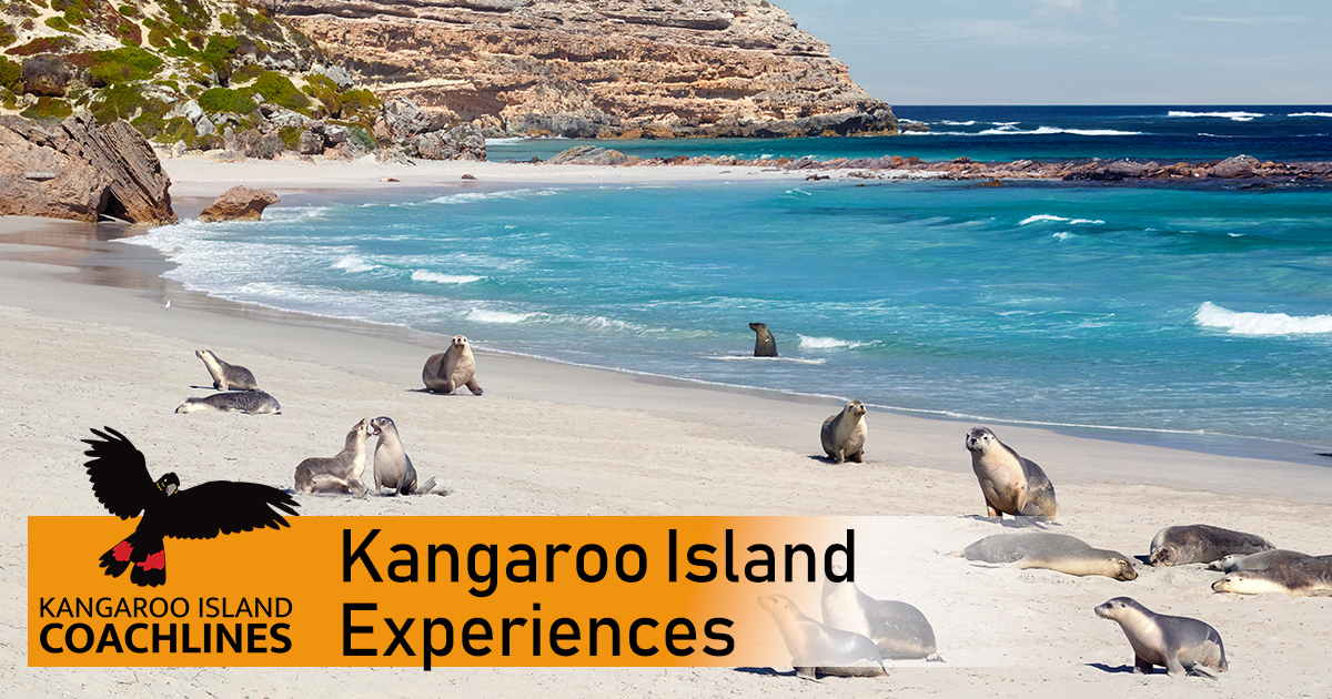 guided tours kangaroo island