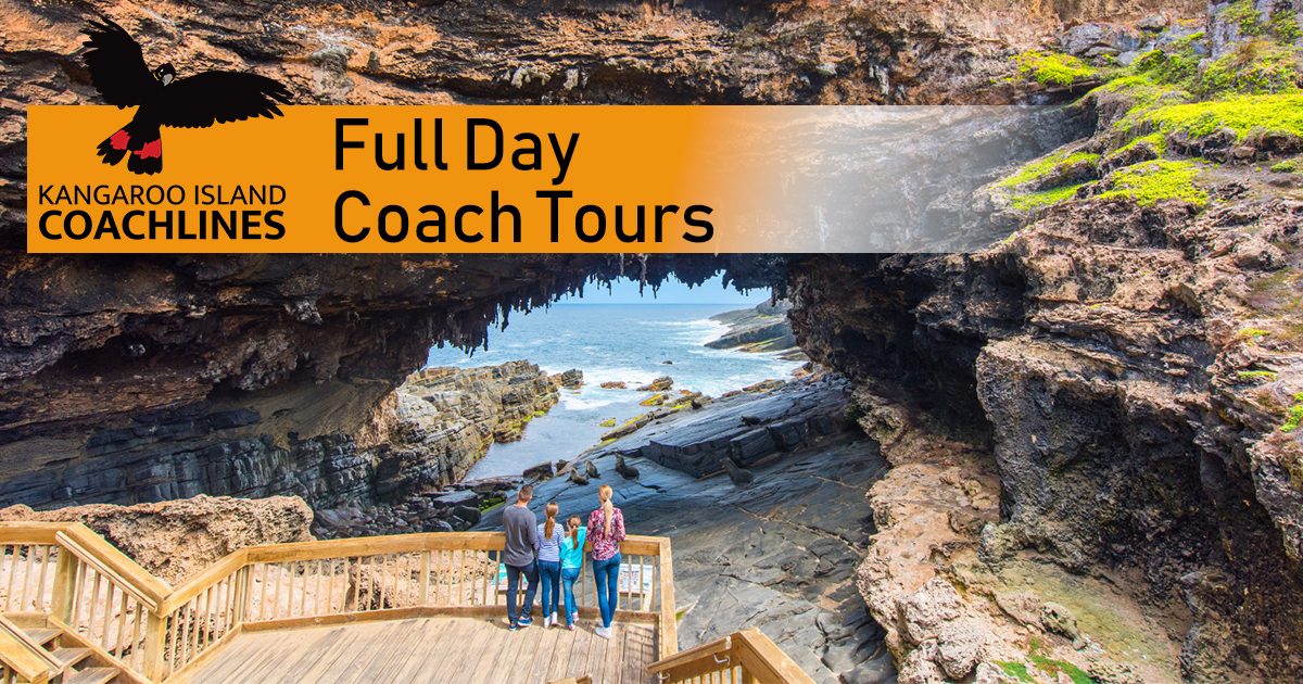 day tours kangaroo island