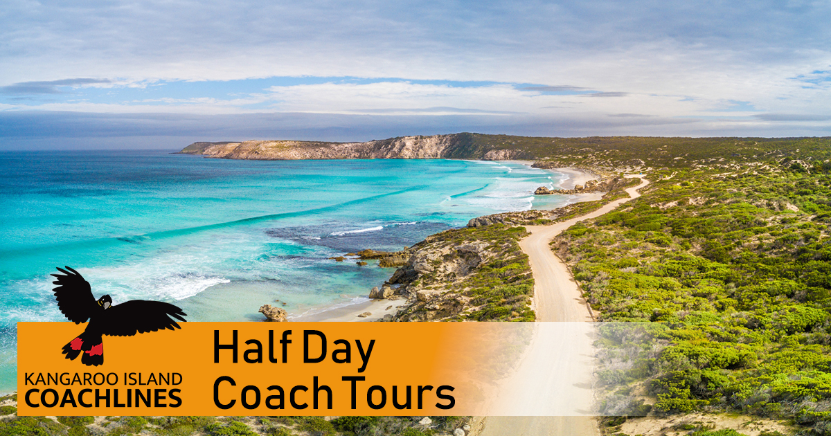 day tours kangaroo island