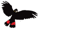 Kangaroo Island Coachlines Logo