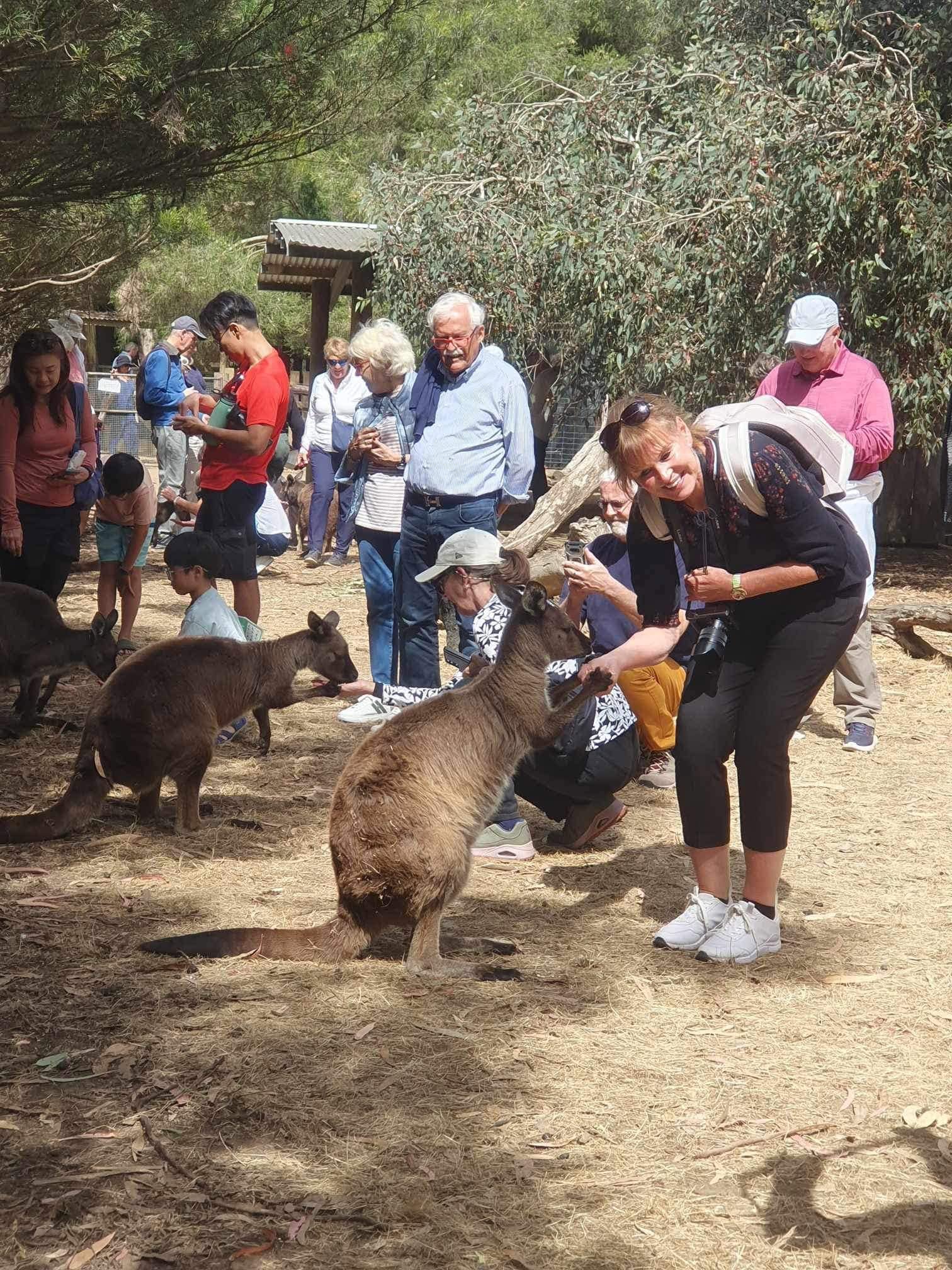 Kangaroo Island Coachlines photo 5